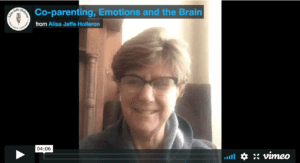 Co-Parenting, Emotions and the Brain
